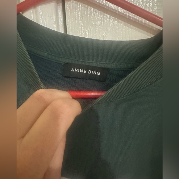 Anine Bing “Miles” Green Crewneck oversized distressed - Picture 3 of 15